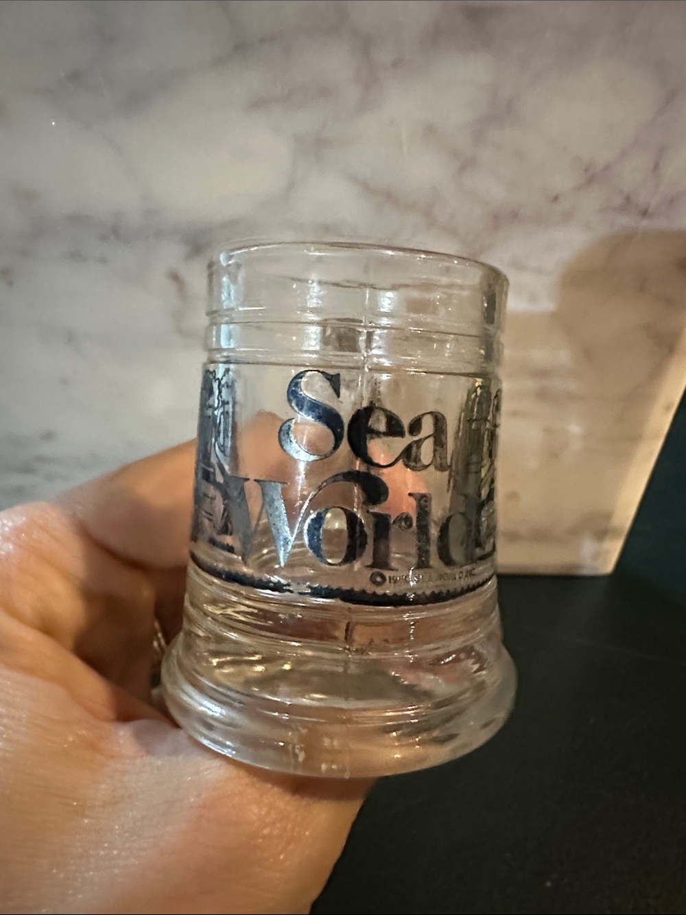 1980 Sea World Shot Glass